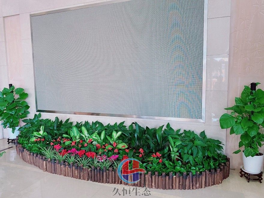 越城企业大厅显示屏组合花卉绿植摆放